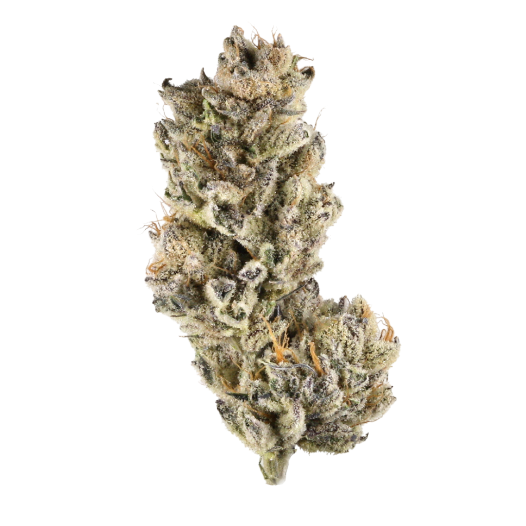 Purple Punch Sativa