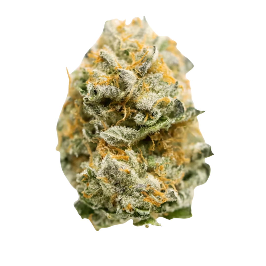 Jet Fuel Gelato Flower