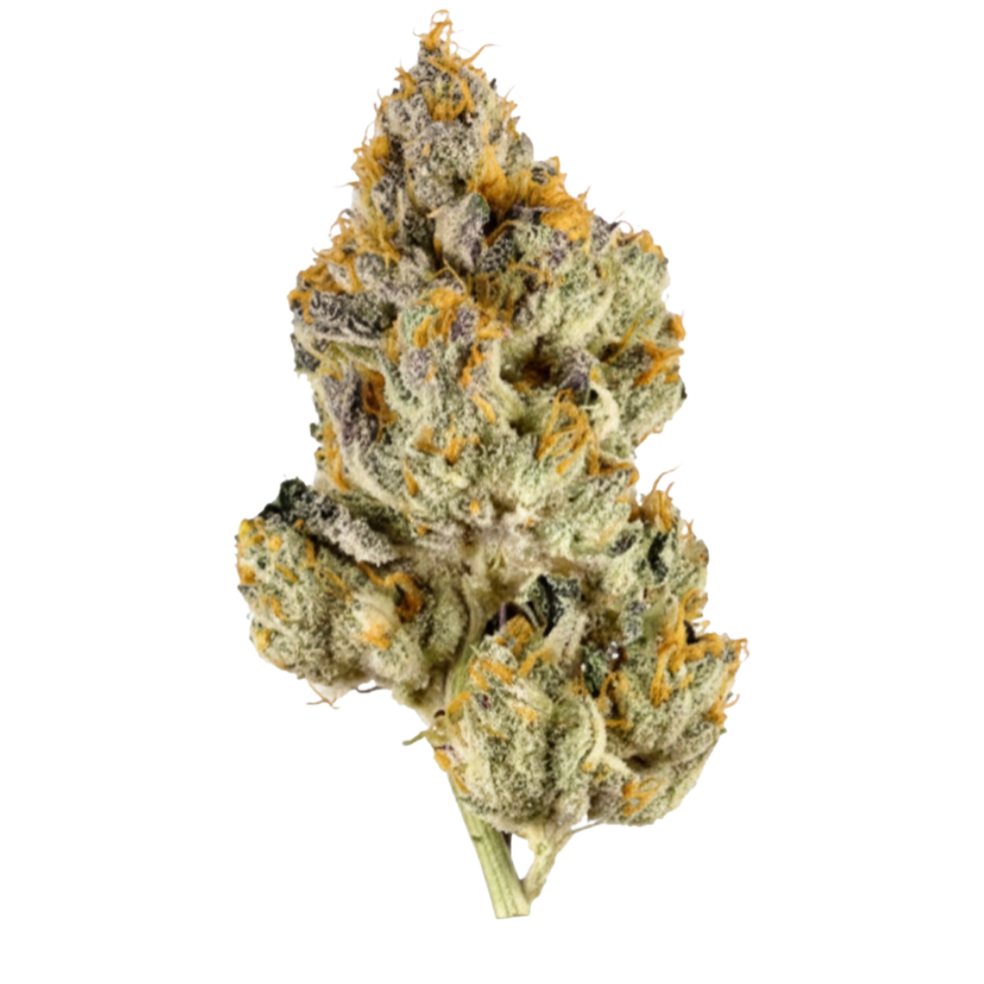 Lemon Cherry Gelato