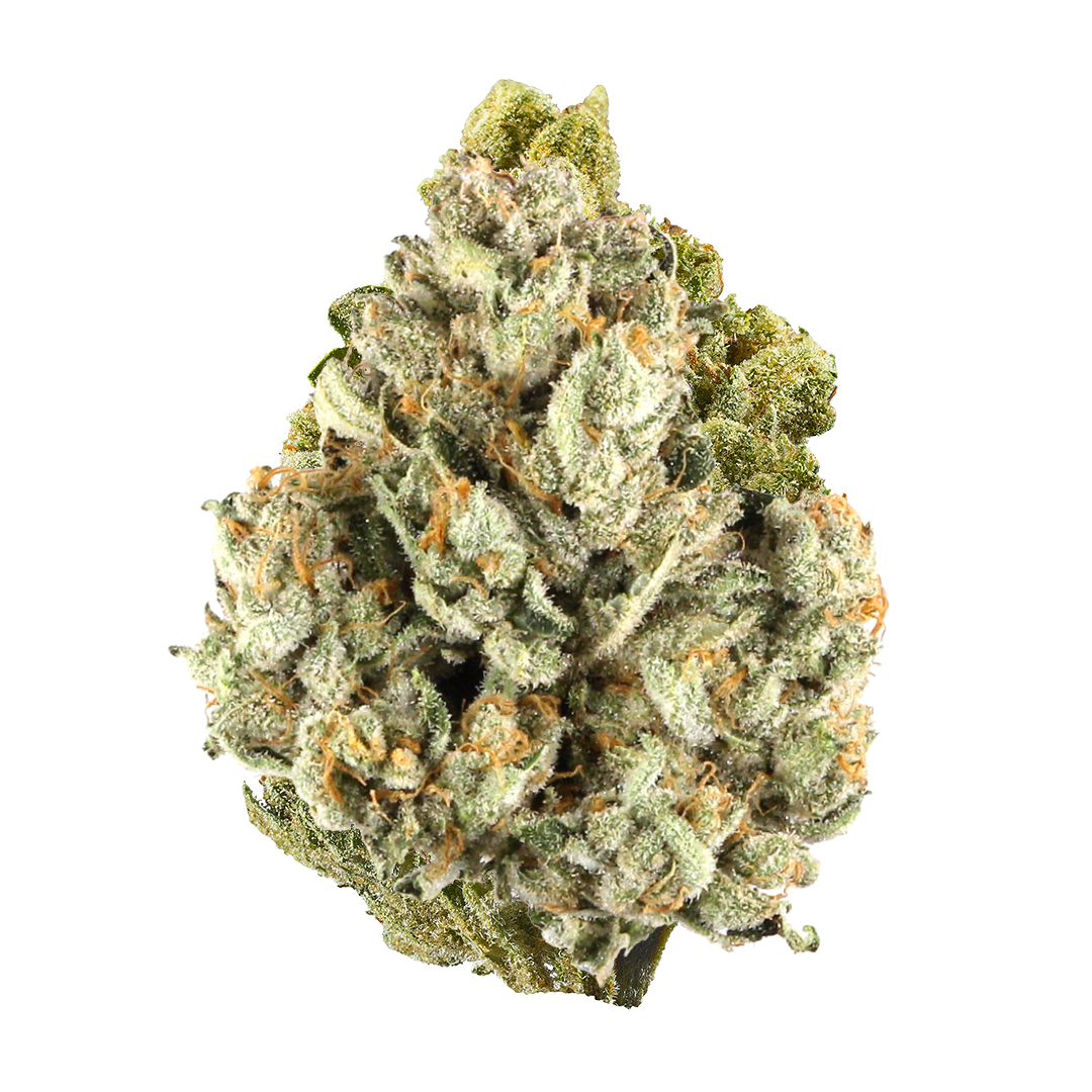 Colombia Gold Infused Pre Rolls