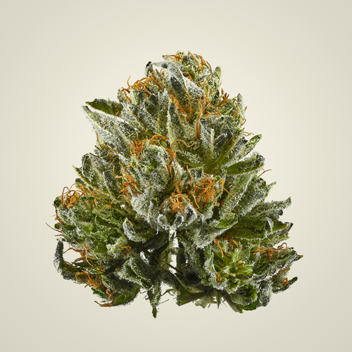 Kush CBD Flower