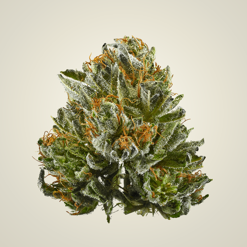 Kush CBD Flower