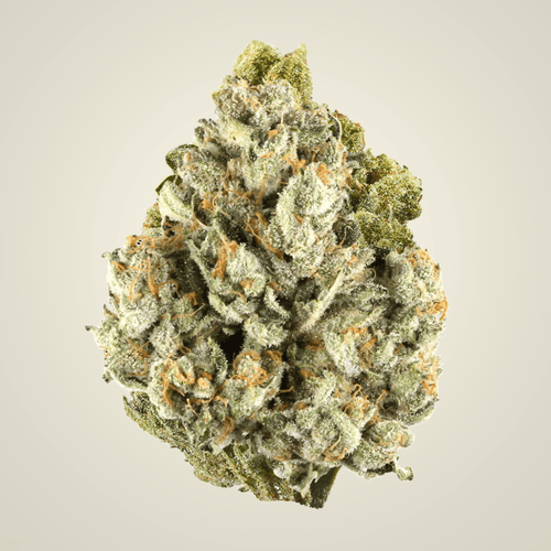 Colombia Gold Top Shelf Flower (Sativa)