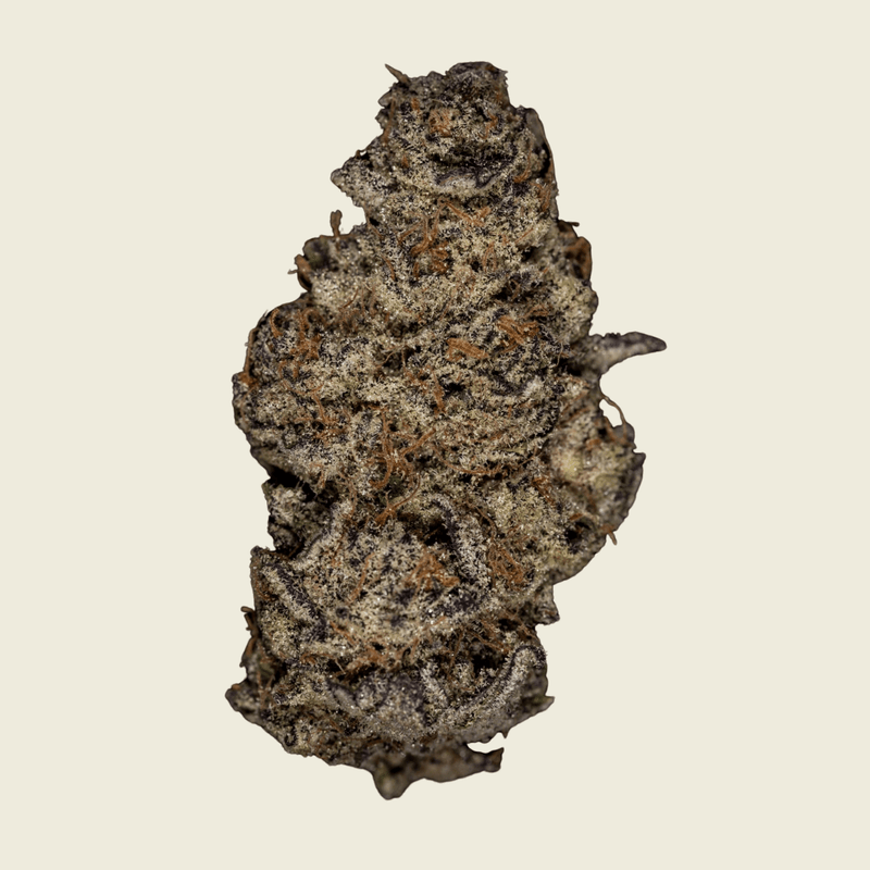 Jet Fuel Gelato Deep Roots Flower (Hybrid) - Sticky Green Flower
