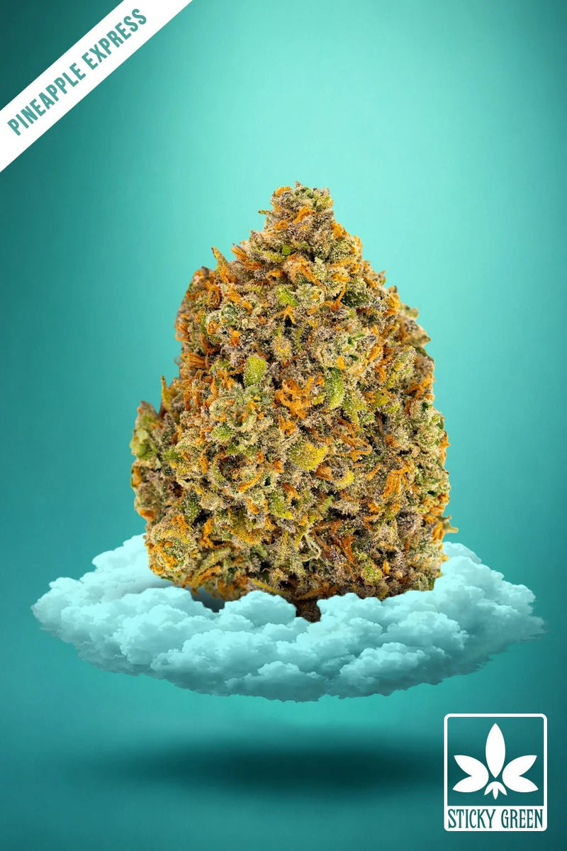 Pineapple Express Kush Rx Flower (Sativa) - Sticky Green Flower