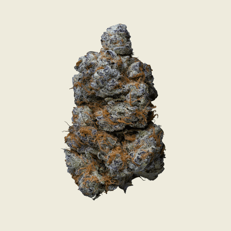 Royal Runtz Private Reserve Flower (Hybrid) - Sticky Green Flower