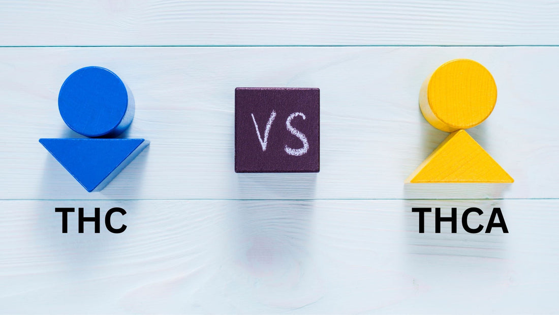 THC vs THCA : Understanding THCA - Sticky Green Flower