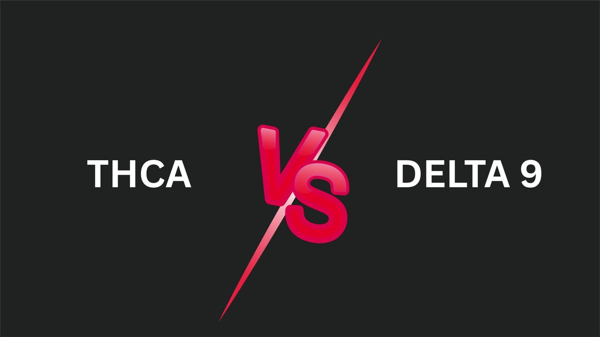 THCA vs Delta 9: Hemp-Derived Differences - Sticky Green Flower