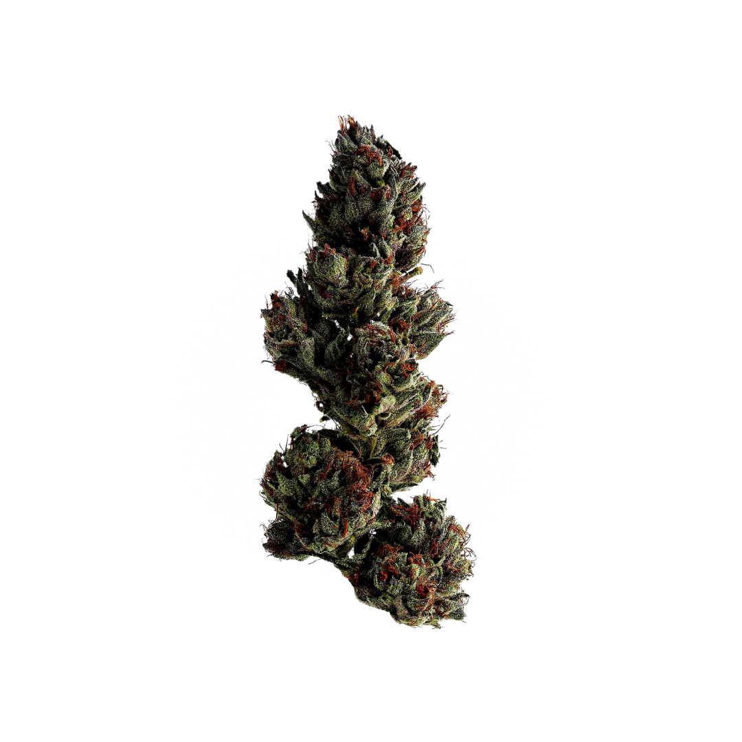 Candy Collection 1g Flower (Singles)