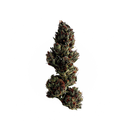 Candy Collection 1g Flower (Singles)