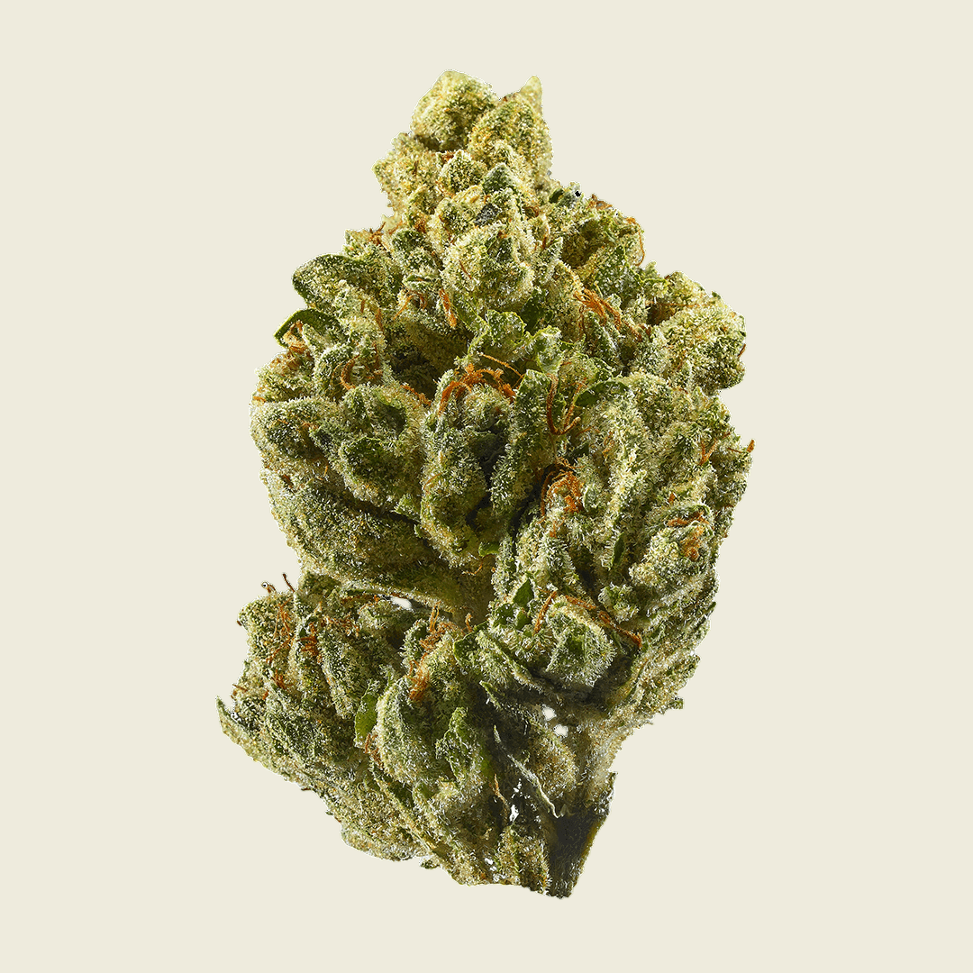24K Hybrid Infused Top Shelf Pre Rolls (Hybrid) - Sticky Green Flower