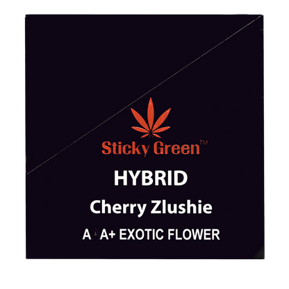 Terp Infused 2 pack Pre Rolls