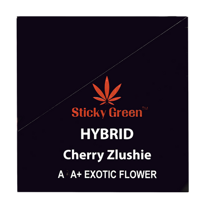 Terp Infused 2 pack Pre Rolls