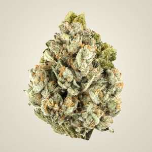Colombia Gold Top Shelf Flower (Sativa)