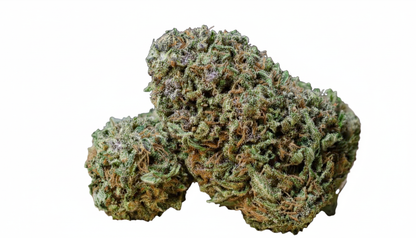 Green House Reserve Flower