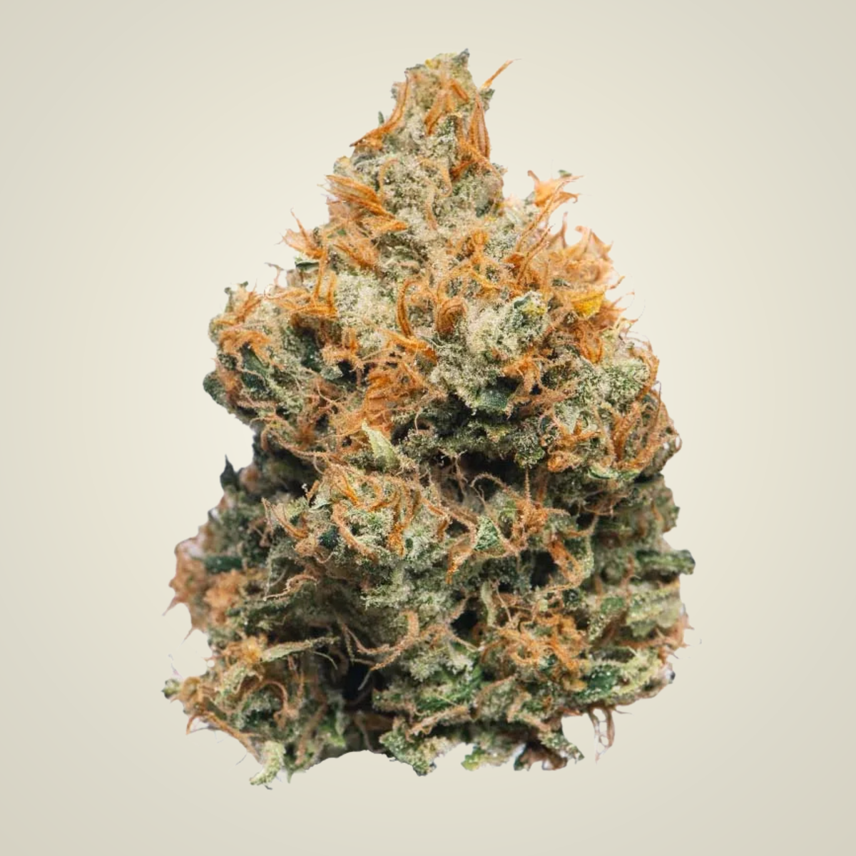 Golden Goat Top Shelf Flower (Indica)