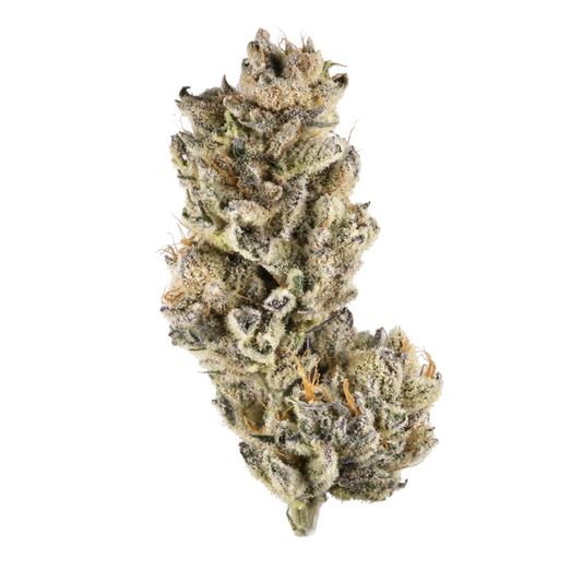 Purple Punch Sativa