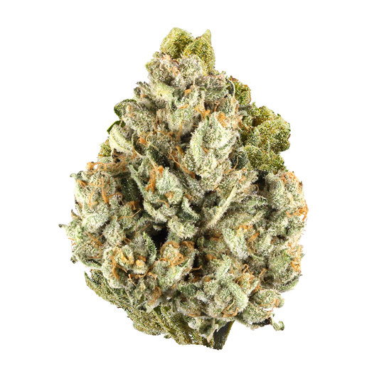 Colombia Gold Flower