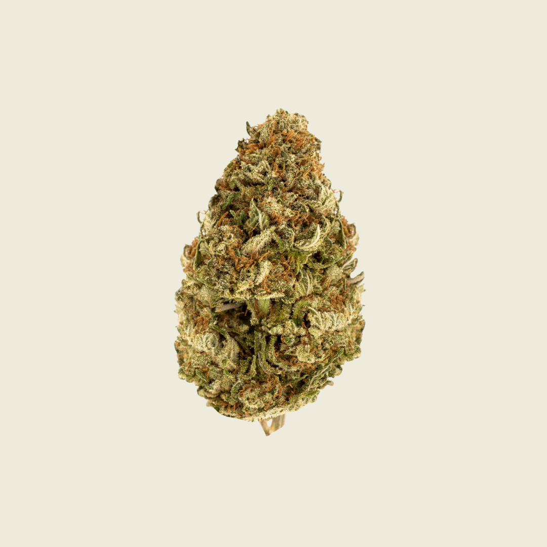 Berry Blossom Infused THCP Flower (Indica)