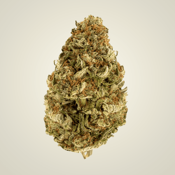 Berry Blossom Infused THCP Flower (Indica)