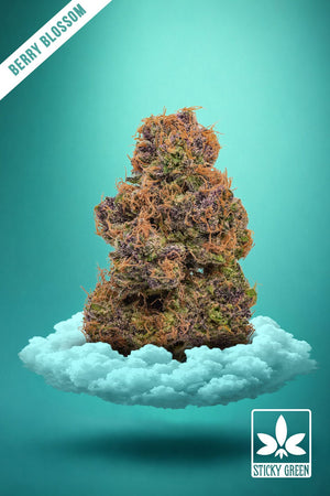 Berry Blossom Infused THCP Flower (Indica) - Sticky Green Flower