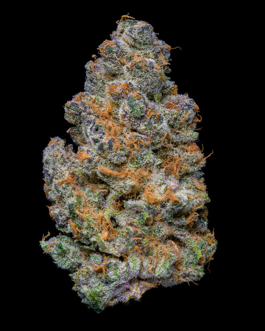 Green House Reserve Flower