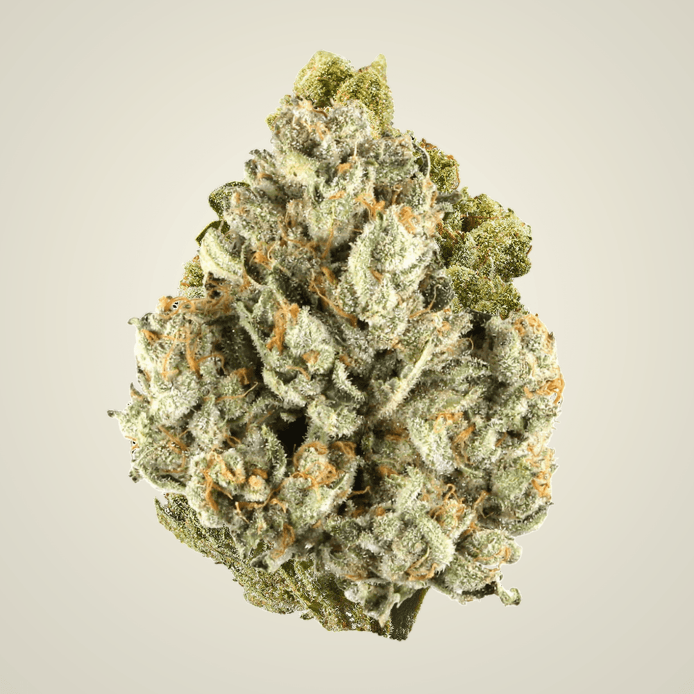 Colombia Gold Top Shelf Flower (Sativa) - Sticky Green Flower