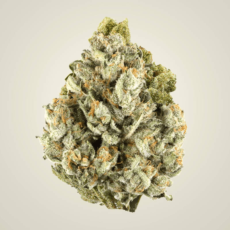 Colombia Gold Top Shelf Flower (Sativa) - Sticky Green Flower