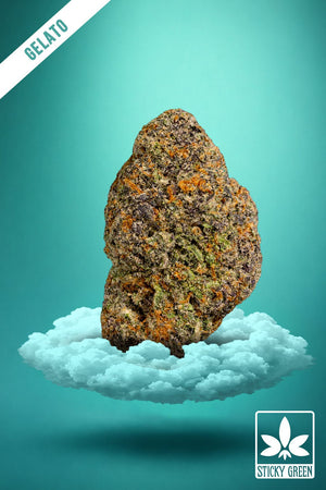 Gelato 44 Green House Flower 14g (Hybrid) - Sticky Green Flower