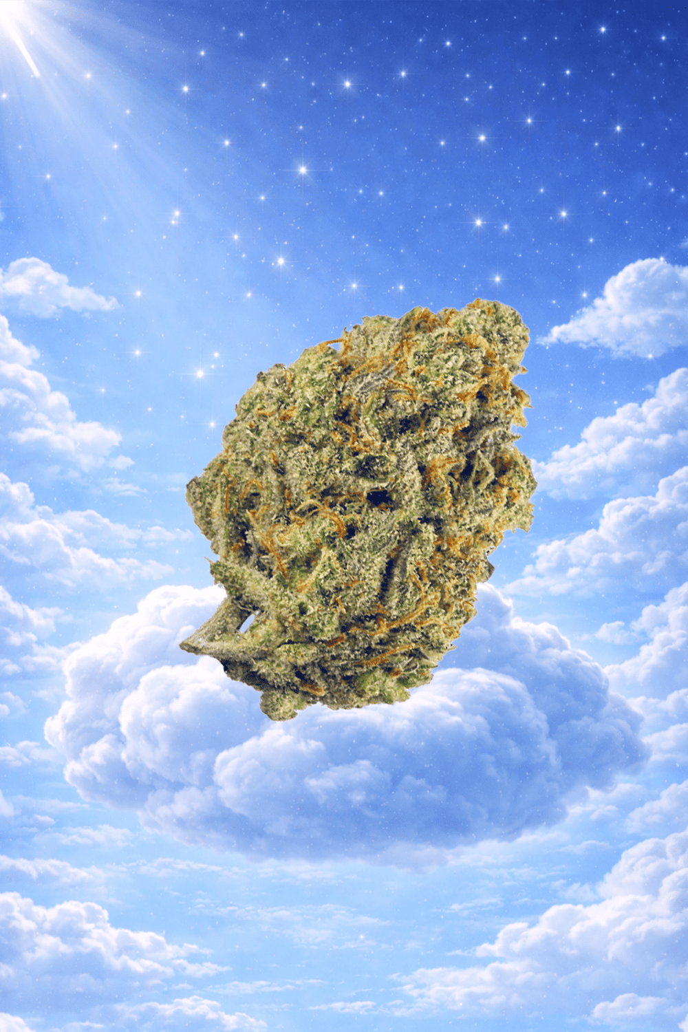 Gelato 44 Green House Flower 14g (Hybrid) - Sticky Green Flower