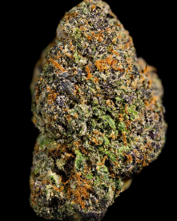 Gelato 44 Green House Flower (Hybrid) - Sticky Green Flower