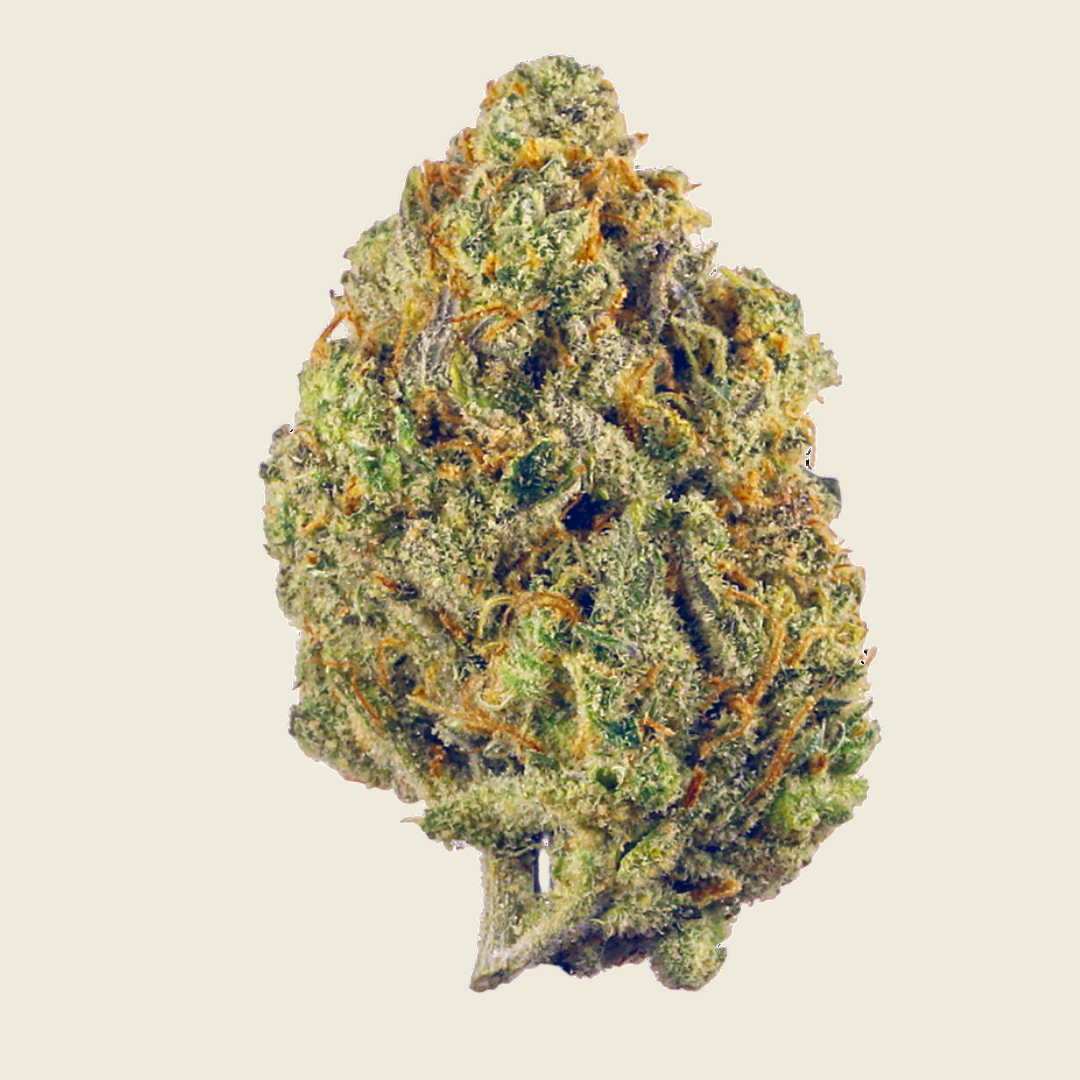 Gelato 44 Green House Pre Rolls (Hybrid) - Sticky Green Flower