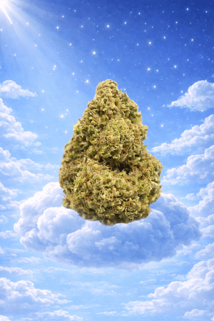 Gelonade Flower Green House Reserve Flower 14g (Sativa) - Sticky Green Flower