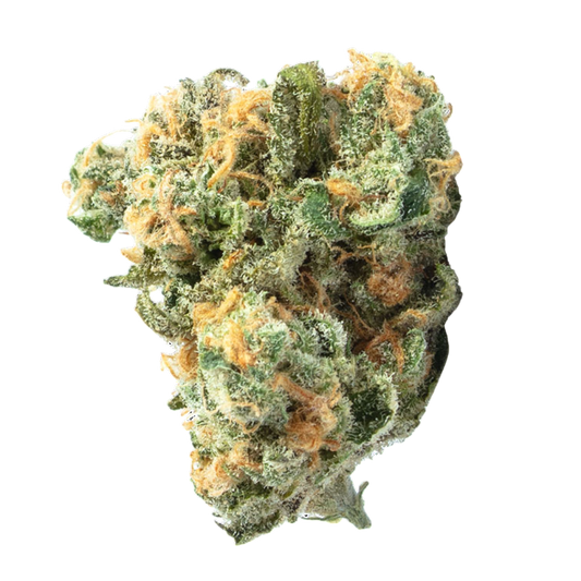 Golden Goat Flower - Sticky Green Flower