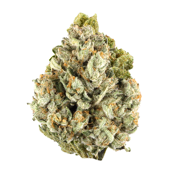 Golden Goat Infused Pre Rolls - Sticky Green Flower