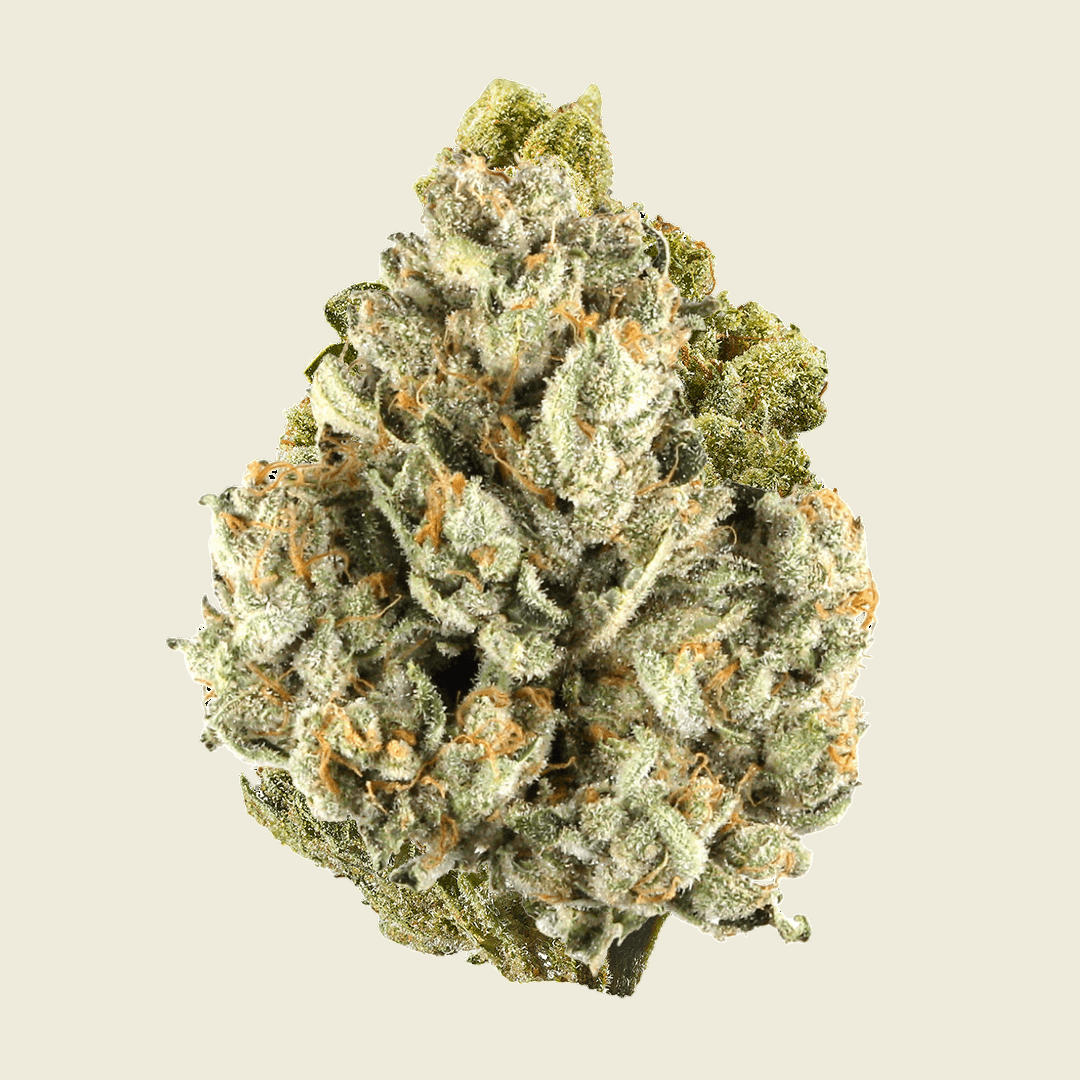 Golden Goat Infused Top Shelf Pre Rolls (Indica) - Sticky Green Flower