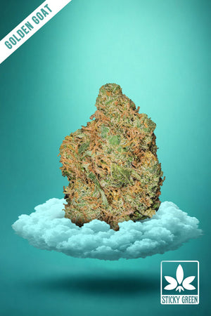 Golden Goat Top Shelf Flower (Indica) - Sticky Green Flower