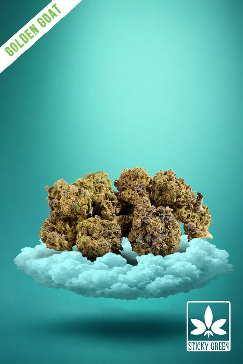 Golden Goat Top Shelf Flower (Indica) - Sticky Green Flower