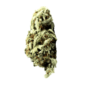 High Grade Flower – 20 Pack (1g Each) - Sticky Green Flower