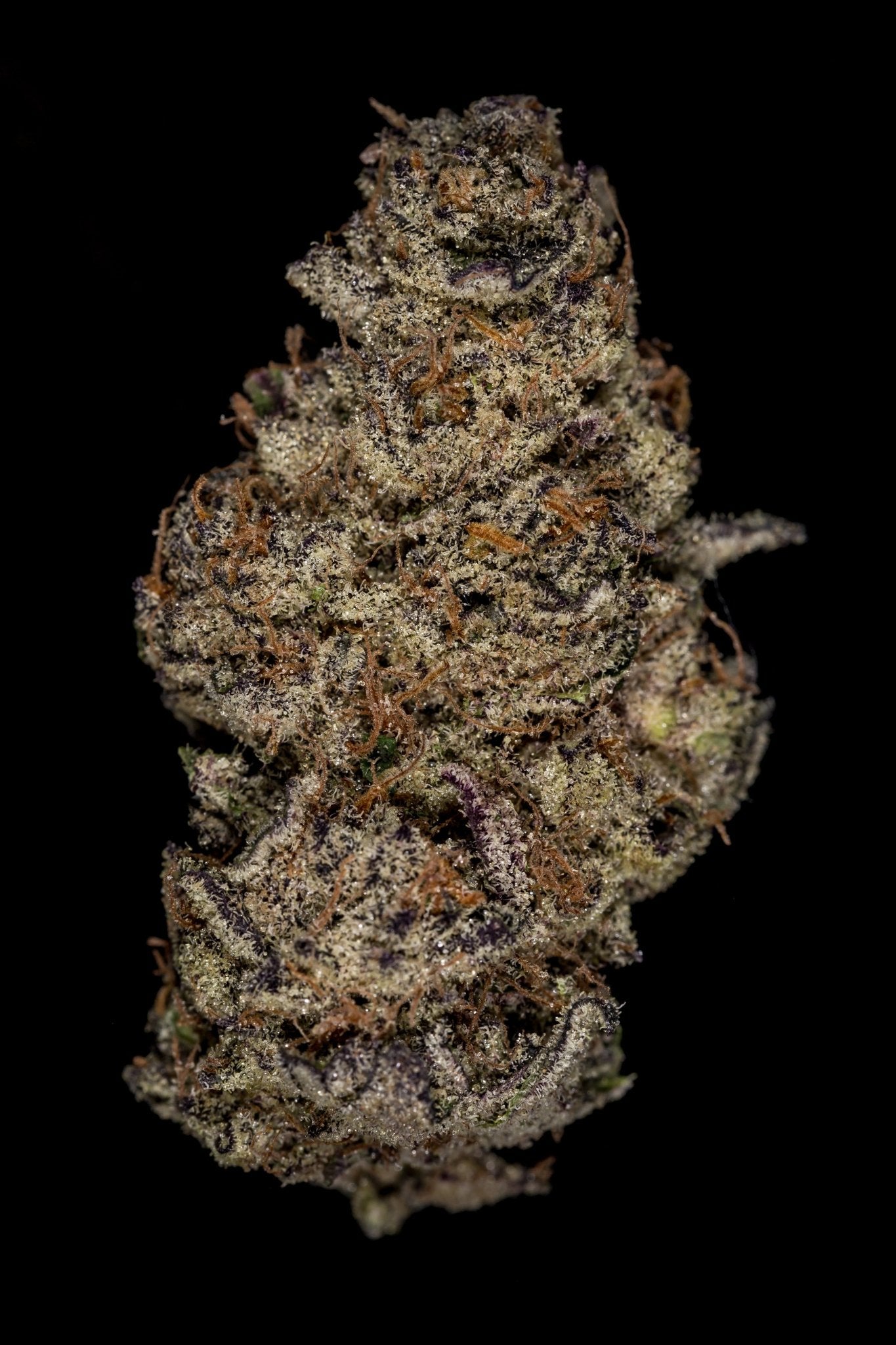 Jet Fuel Gelato Deep Roots Flower (Hybrid)