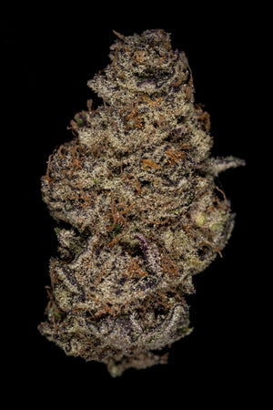 Jet Fuel Gelato Deep Roots Flower (Hybrid) - Sticky Green Flower