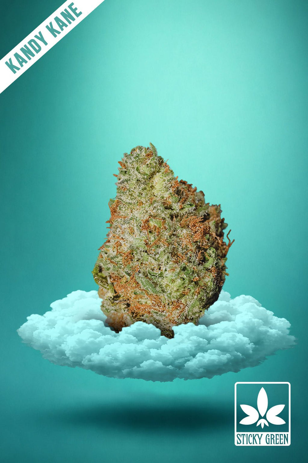 Kandy Kane Candy Collection Flower (Indica) - Sticky Green Flower