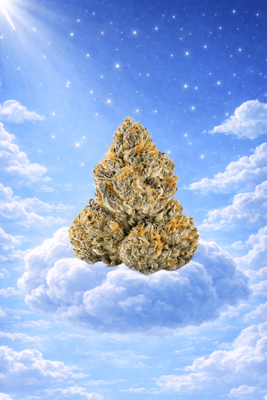 Kandy Kane Candy Collection Flower (Indica) - Sticky Green Flower