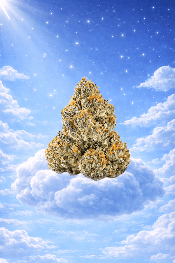 Kandy Kane Candy Collection Flower (Indica) - Sticky Green Flower