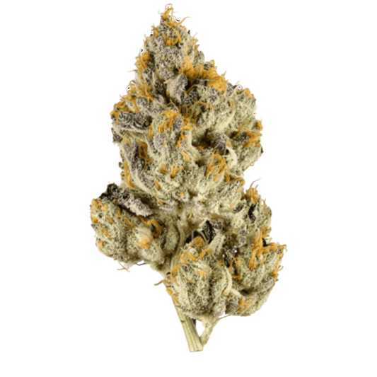 Lemon Cherry Gelato - Sticky Green Flower