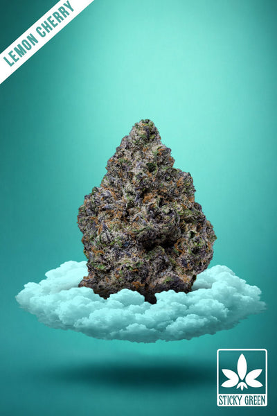 Lemon Cherry Gelato Deep Roots Flower (Indica)