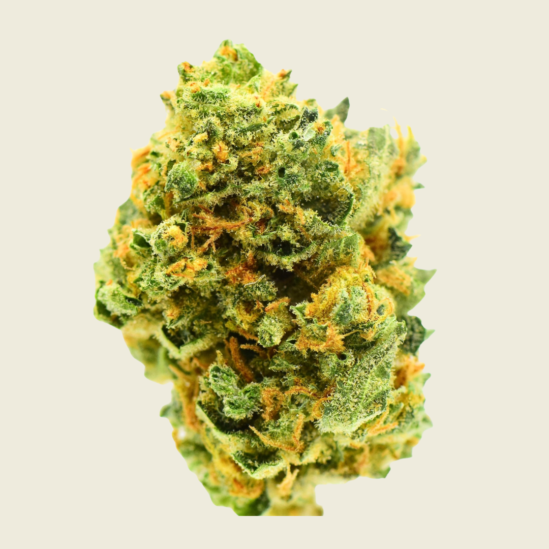 Lemon Haze Green House Flower (Indica) - Sticky Green Flower