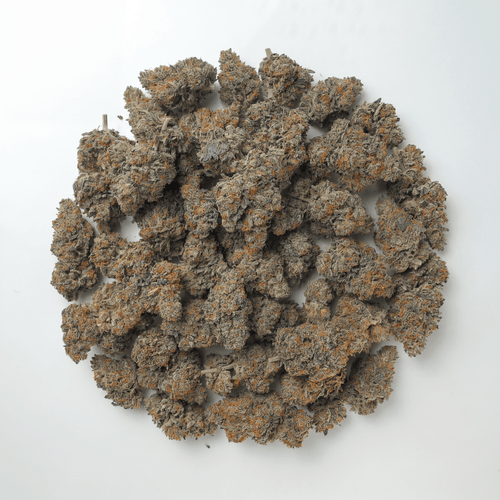 Maple Glazed Private Reserve Flower (Indica) - Sticky Green Flower