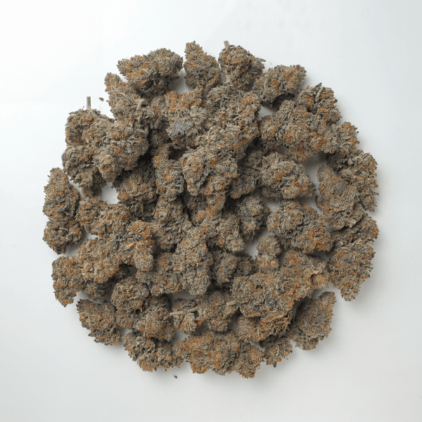 Maple Glazed Private Reserve Flower (Indica) - Sticky Green Flower