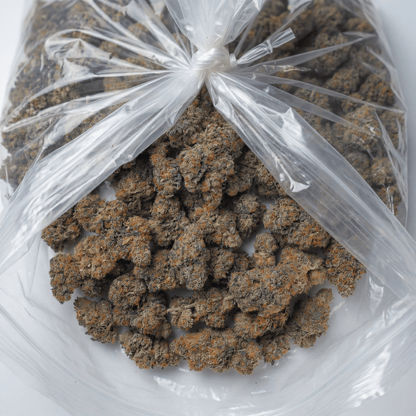 Maple Glazed Private Reserve Flower (Indica) - Sticky Green Flower